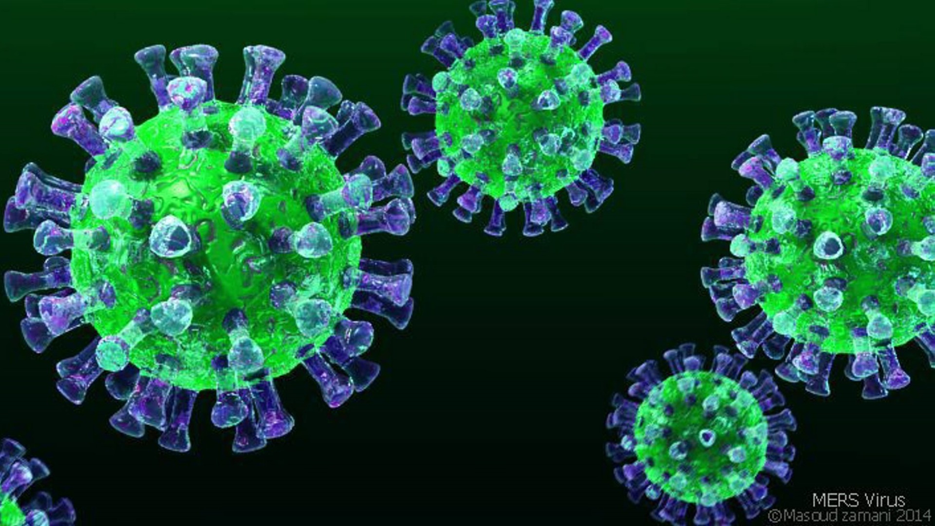 Запорожец рассказал про эпидемию коронавируса в Китае