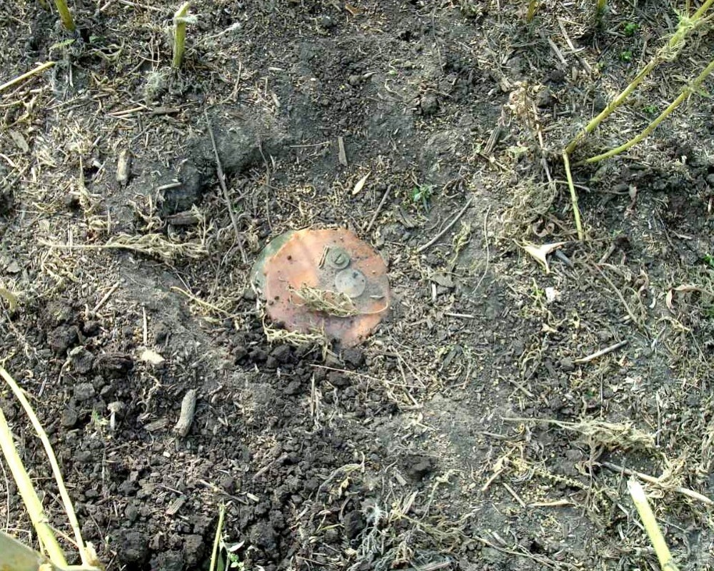 В Запорожье на детской площадке нашли противопехотные мины