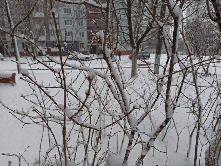 Погода в Запорожье будет снежной и дождливой