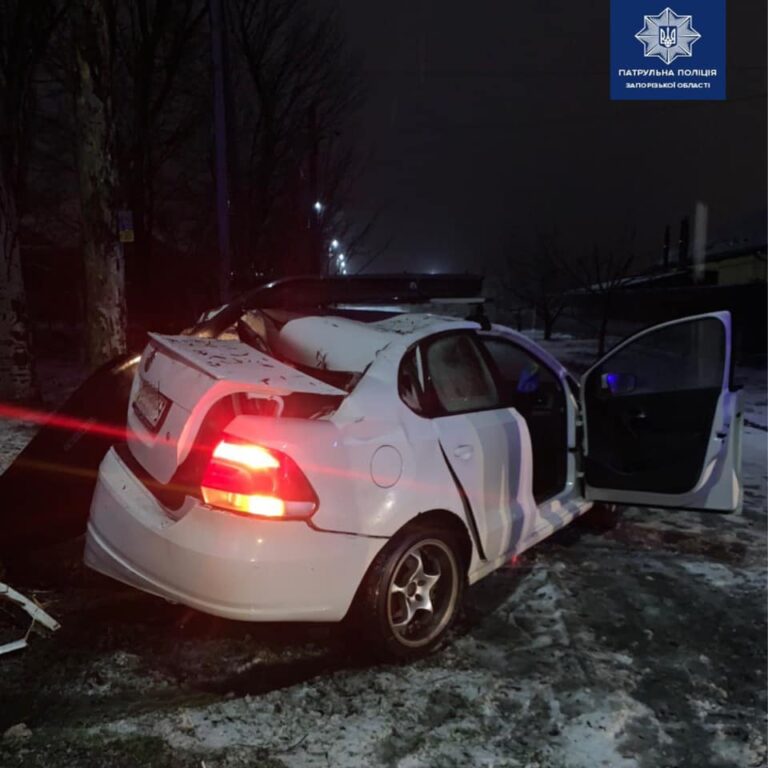 В Запорожье водитель не справился с управлением и врезался в дерево