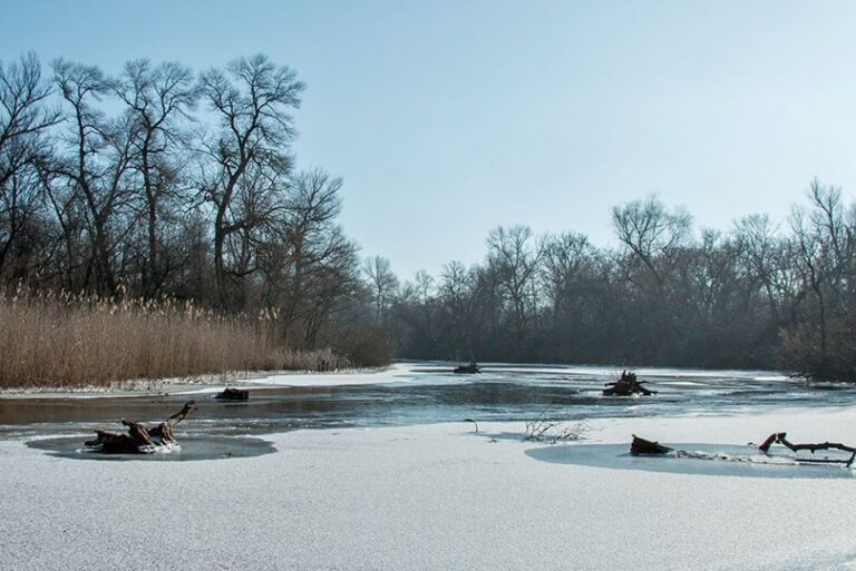 Запорожской фотограф запечатлел замерзшие Хортицкие плавни, – фото