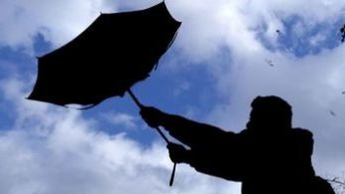 Сильные порывы ветра в Запорожье: синоптики предупреждают об опасности