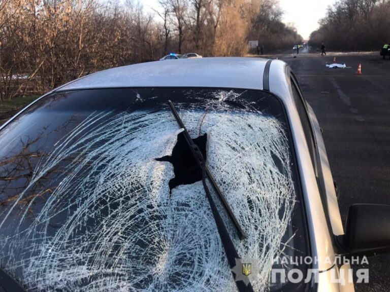 В районе Запорожья водитель легковика на смерть сбил пешехода