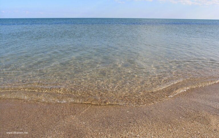 Бывший губернатор Запорожской области заявил, что морская вода обезвреживает коронавирус