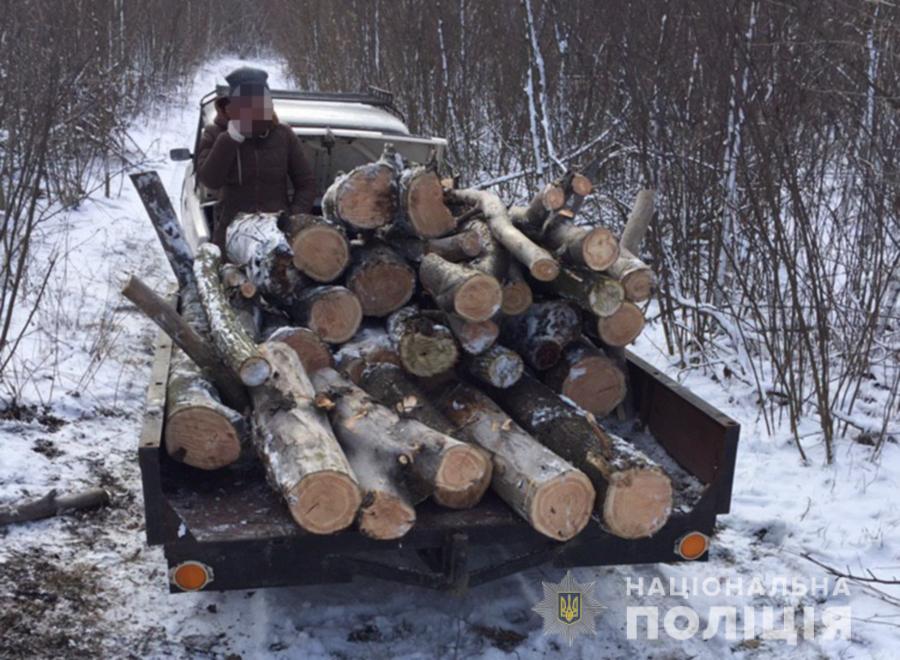 В Запорожской области полиция задержала мужчину, который спилил более 40 деревьев
