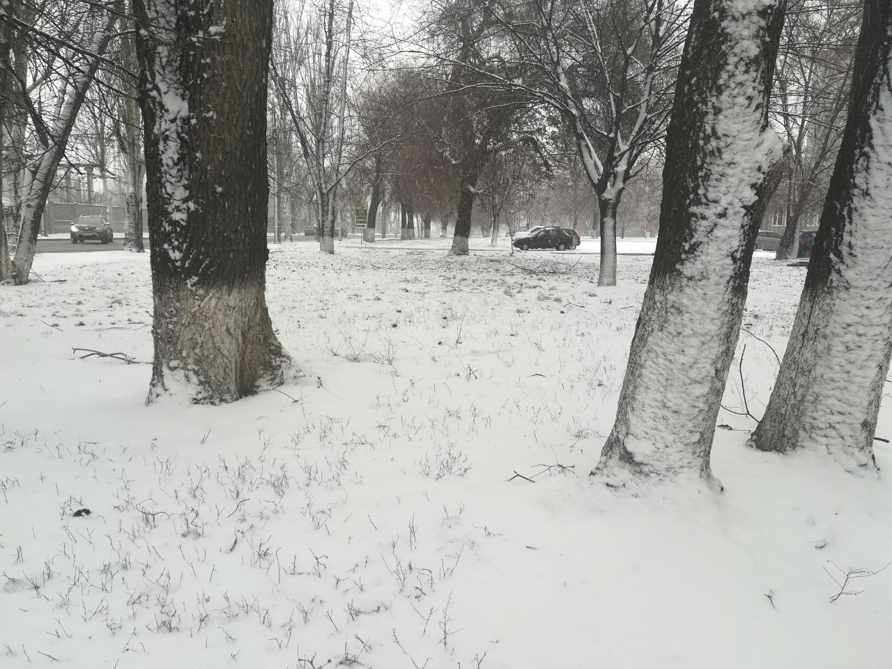 В Запорожье начался сильный снегопад, – фото