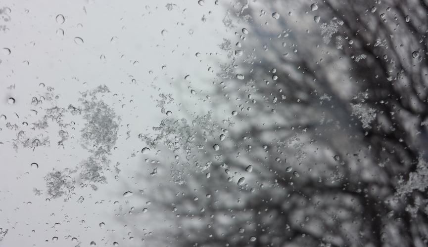 Мокрый снег с дождём в Запорожье: прогноз погоды на 20 ноября