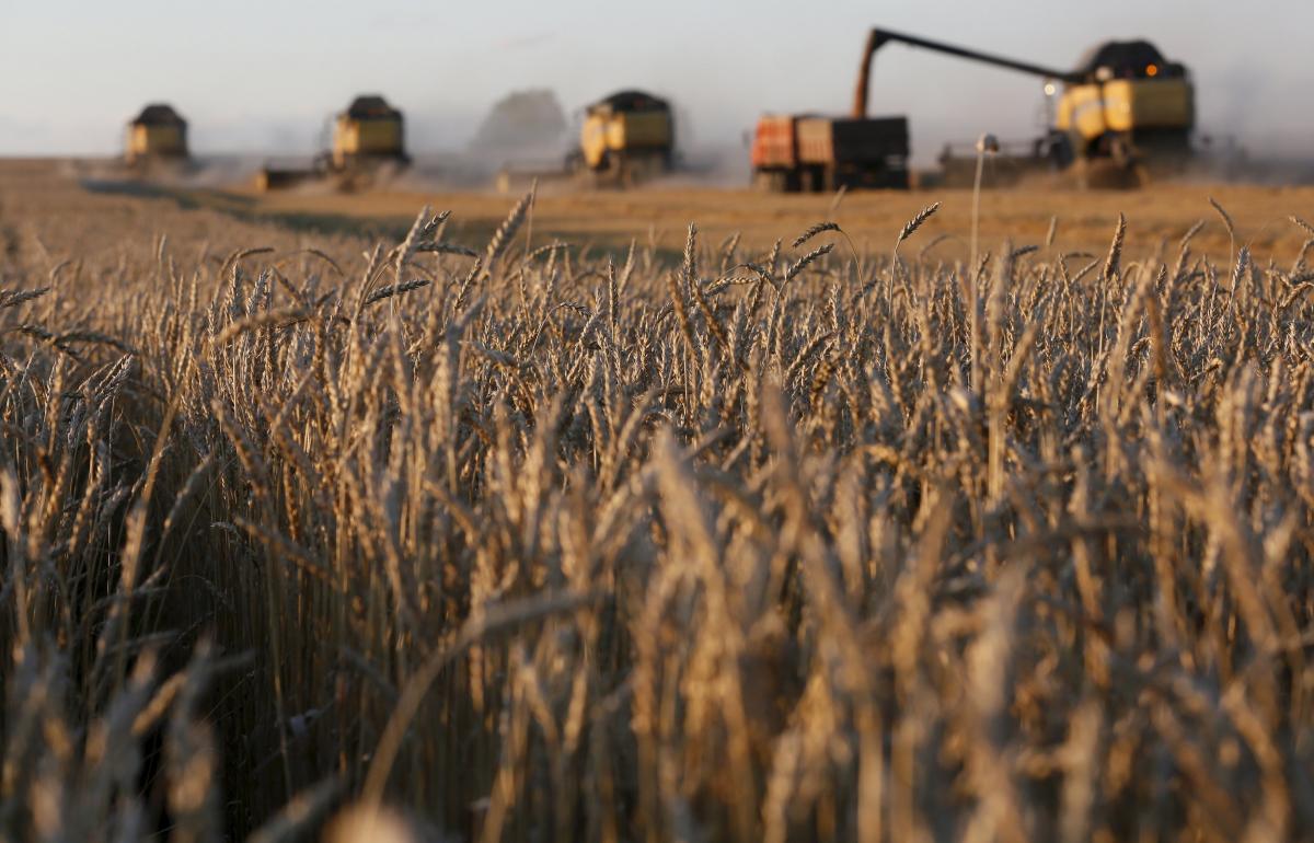 Карантин: запорожские аграрии ищут новые рынки сбыта