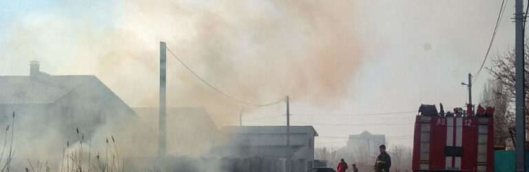Загорелась трава и рогоз: в Бердянске погасили масштабный пожар