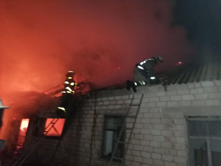 В Запорожской области сгорела хозяйственная постройка: пожар тушили 5 спасателей
