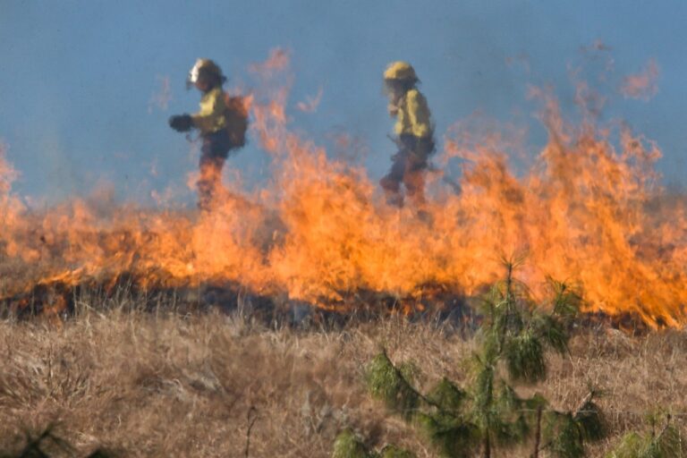 Запорожцам напоминают о запрете сжигания сухой травы