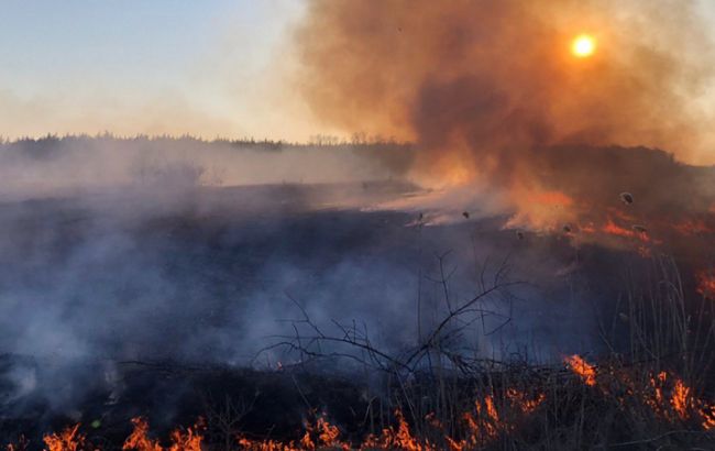 Высокая пожарная опасность в Запорожье – предупреждение от службы спасения