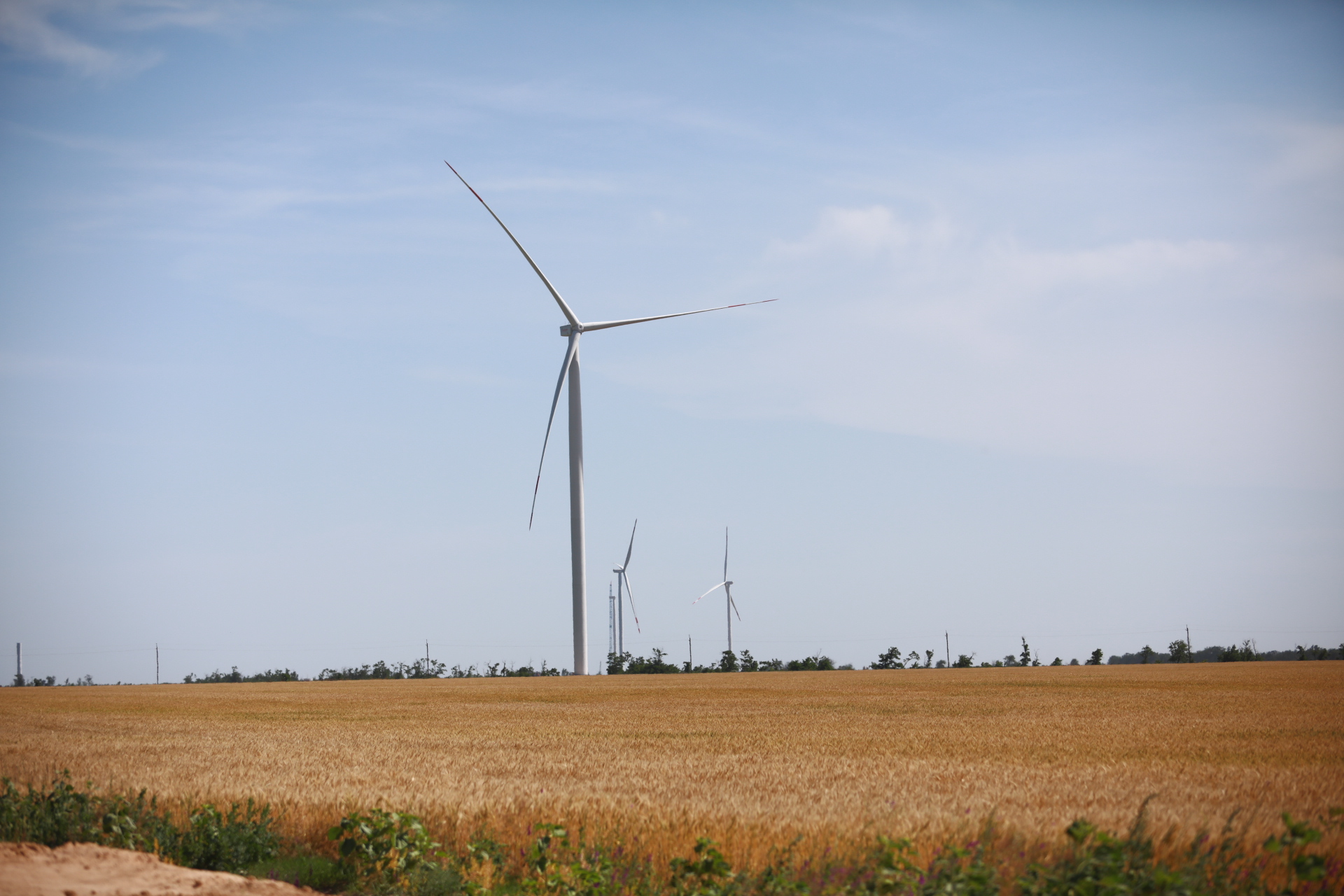 В Кирилловке хотят построить самую большую в Европе береговую ветроэлектростанцию