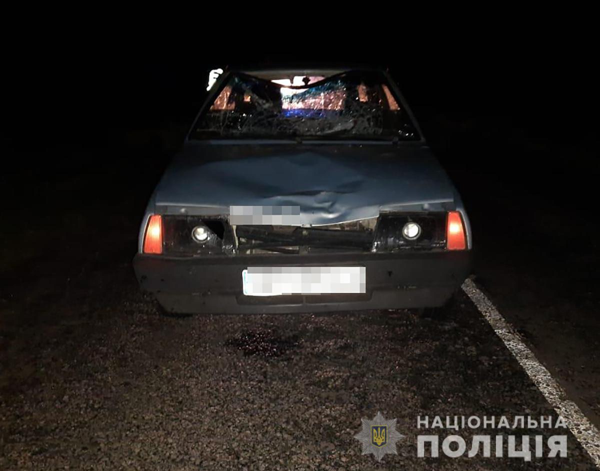 В Запорожской области насмерть сбили пешехода 