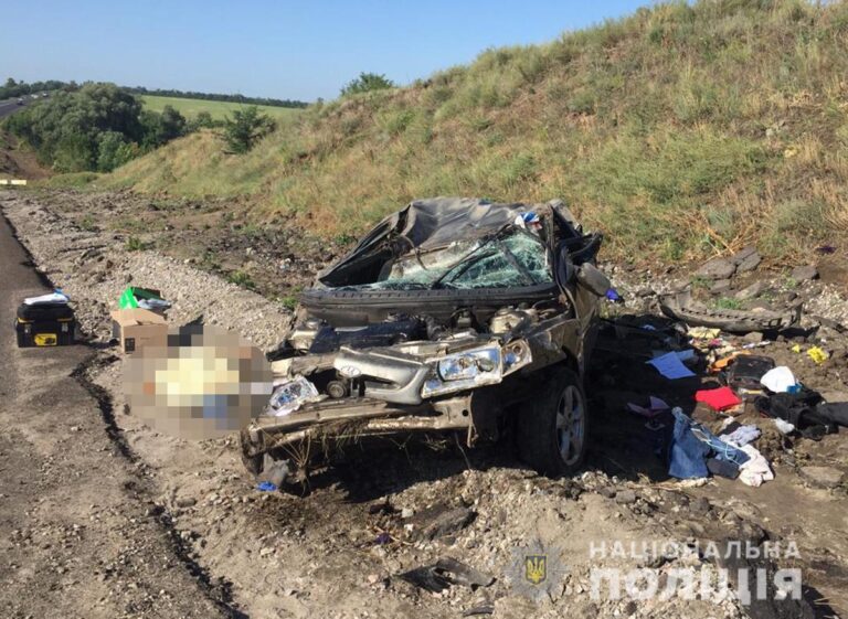 В Запорожской области неизвестные украли автомобиль и разбили его на трассе
