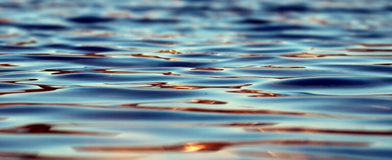 На запорожских пляжах выявили отклонения качества речной воды 