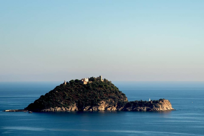 Сын владельца “Мотор Сичи” купил остров в Италии за 10 млн евро