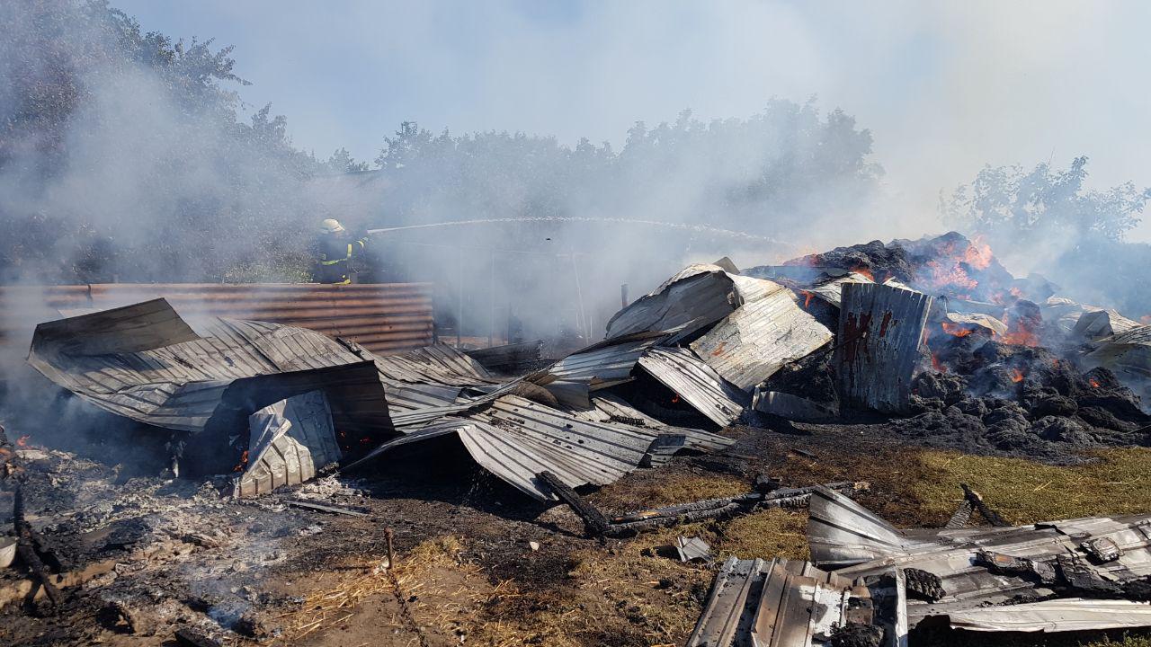 Коровы сгорели вместе с сараем в результате пожара в Веселовском районе