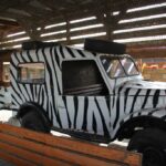 Машина-зебра в усадьбе Аквазоо