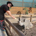 Борис Игнатко и свинья Пумба из Аквазоо