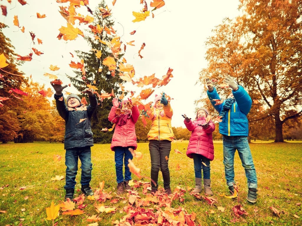 В Запорожье школьники могут пойти на каникулы с 15 октября