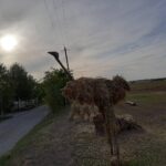 страус из сена фотозона Аквазоо