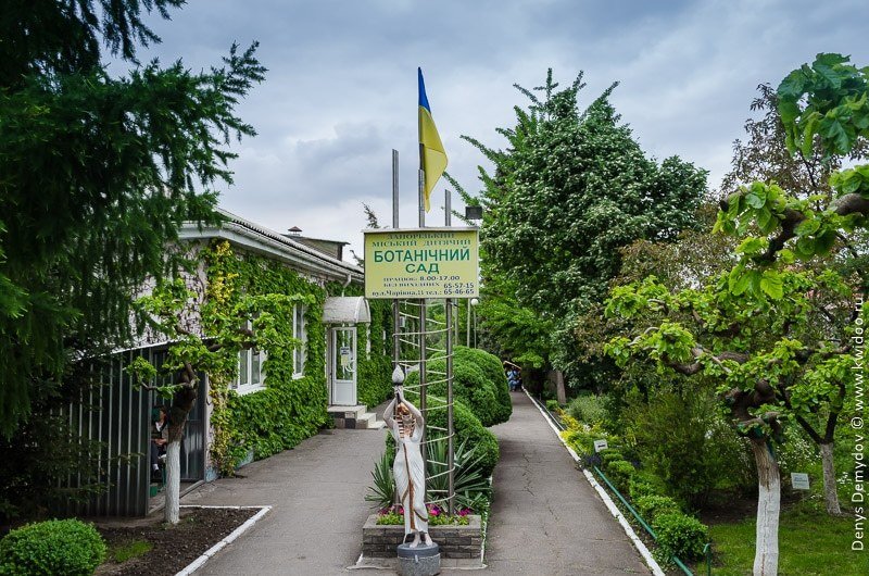 Запорожский ботанический сад из-за карантина ограничил посещения