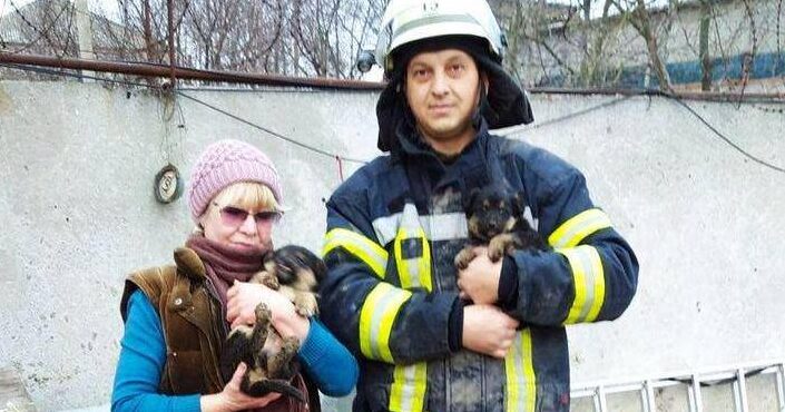 На агрофирме в Запорожской области спасены двое щенков