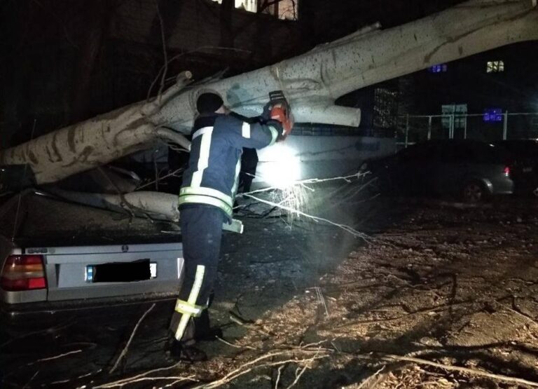 В Запорожье и области спасатели ликвидировали последствия штормовой погоды