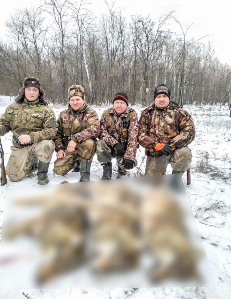 В Запорожской области охотники застрелили стаю волков