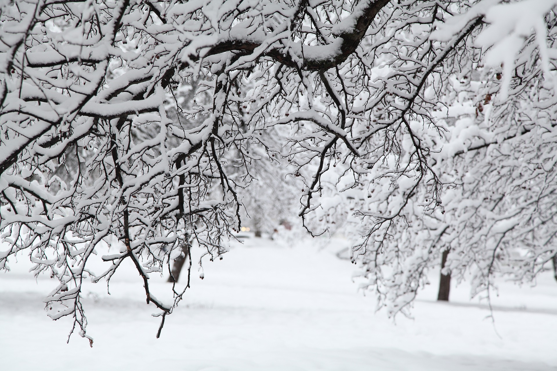 В Запорожье в феврале прогнозируют “температурные качели”