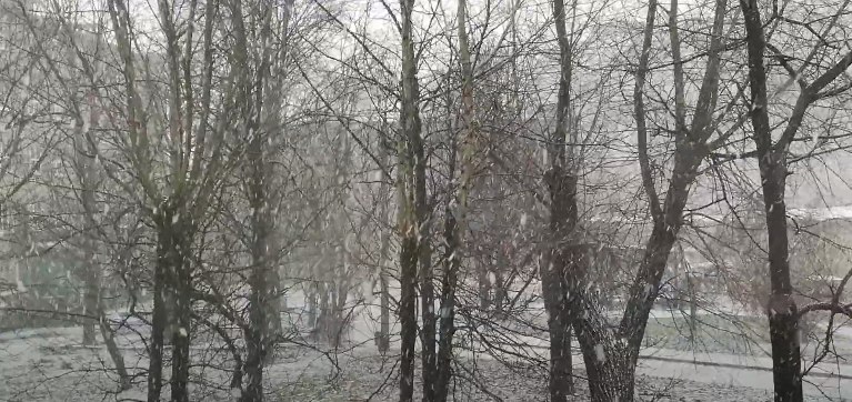 Снегопад в Запорожье: город накрыло сильными осадками, – ВИДЕО