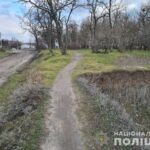 Полиция ищет свидетелей смертельного ДТП в Запорожской области