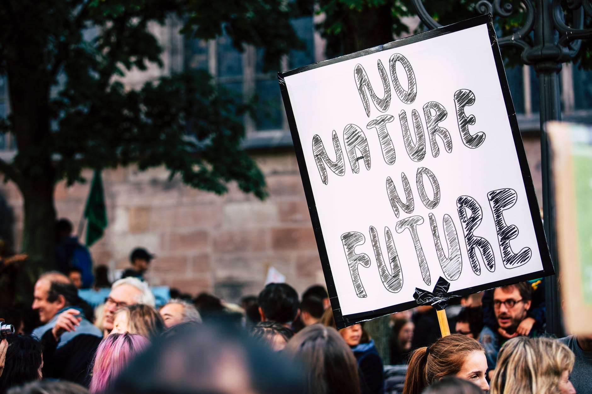 Запорожцы присоединятся к Глобальному страйку за климат