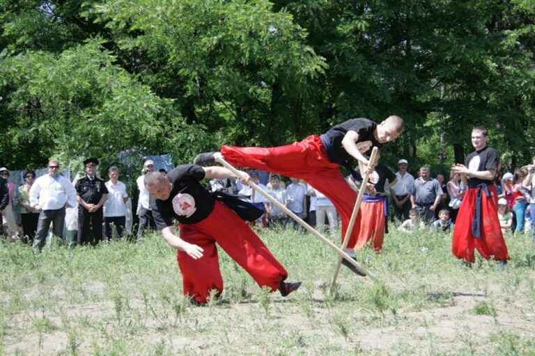 Создание школы боевых искусств на Хортице: в ОГА не поддержали инициативу