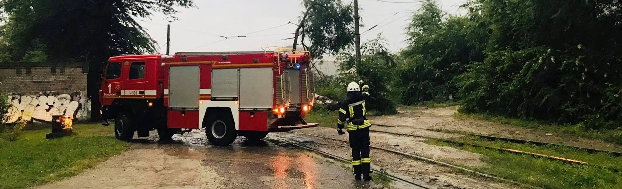Шквальный ветер, гроза и сильный дождь в Запорожье повалили деревья (ФОТО, ВИДЕО)