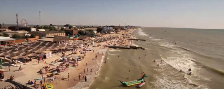 Медузы в Кирилловке: результаты проверки пляжей на Азовском море (ВИДЕО)