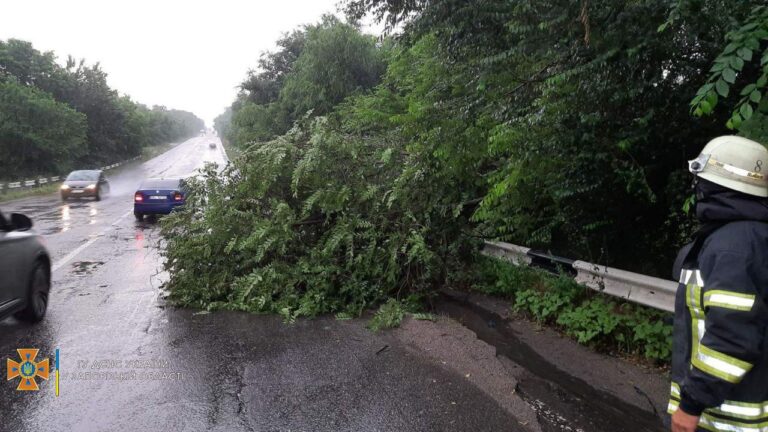 Штормовая погода в Запорожье привела к затоплению улиц и поваленным деревьям