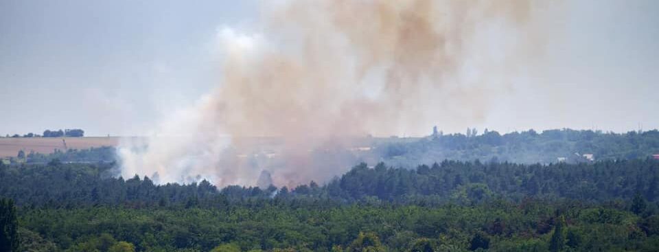 Пожар на Хортице: загорелся участок острова