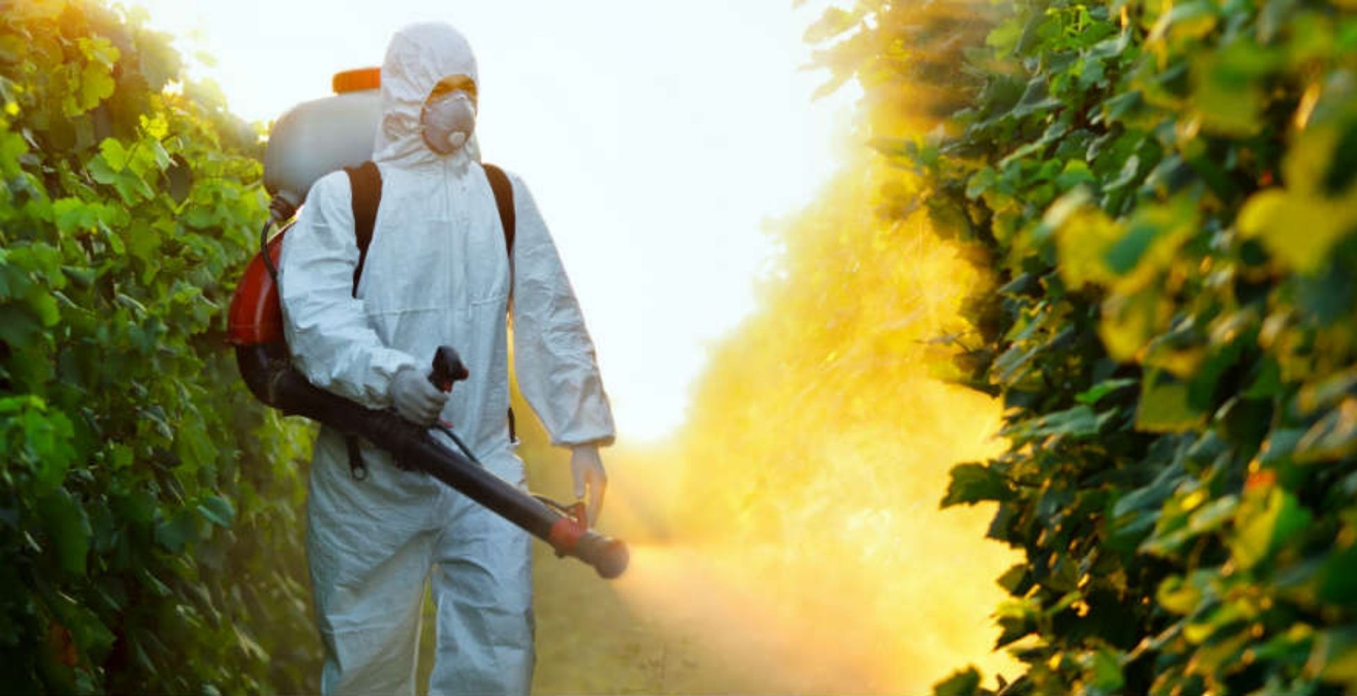 На борьбу с комарами в Запорожье выделили 380 тысяч гривен