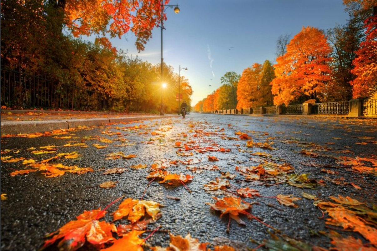 Погода в Запорожье 28 октября: ожидается небольшое потепление