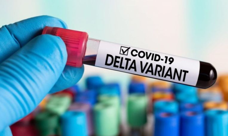 Почти все заболевшие коронавирусом в Запорожской области заражены штаммом Дельта