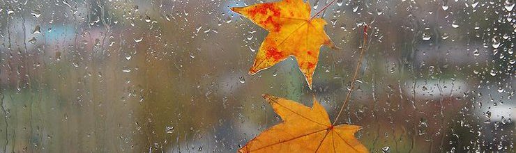 Дожди в Запорожье прогнозируют синоптики на этой неделе