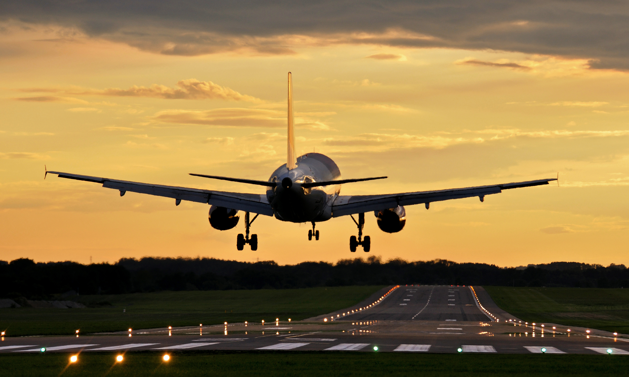 Авиакомпании Bees Airlines аннулировали лицензию на рейсы из Запорожья в Египет