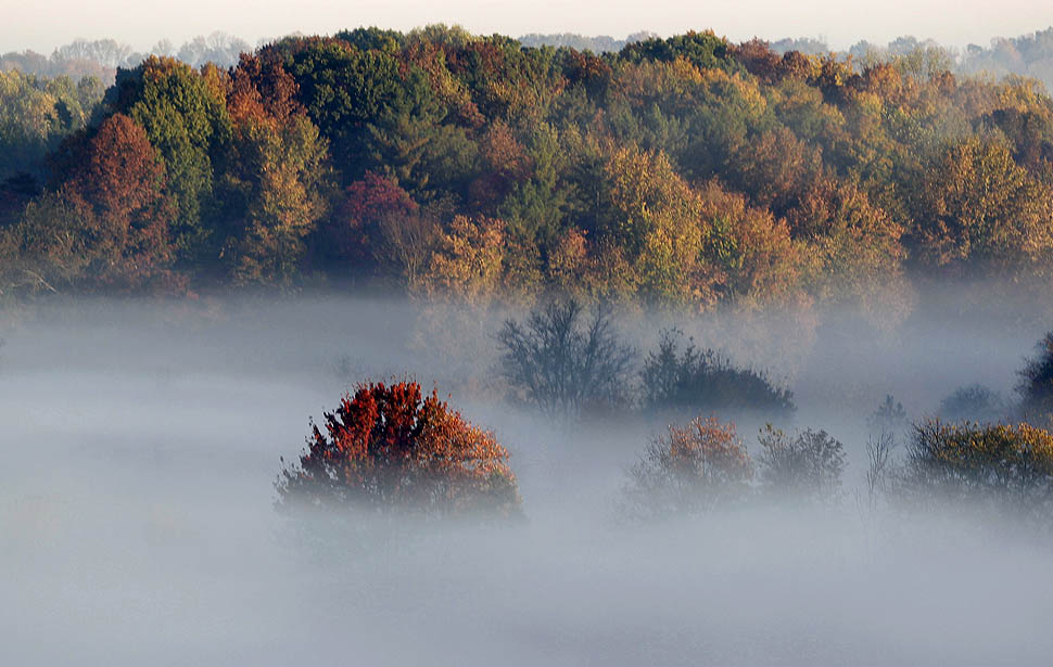 Погода в Запорожье 29 октября: туман и облачность