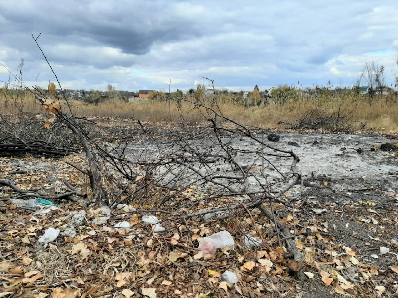 Экология рек в Запорожье: кто решит проблему сокращения водных ресурсов и их возобновления