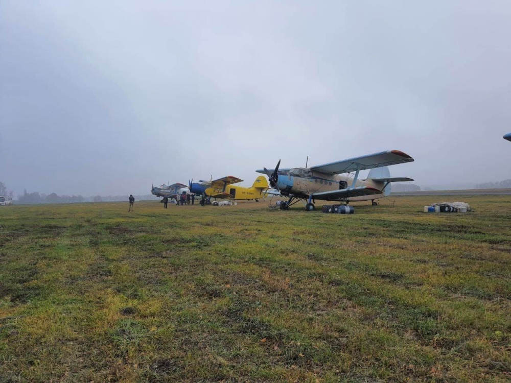 Вакцину от бешенства в Запорожской области скидывают брикетами из самолётов: как это выглядит