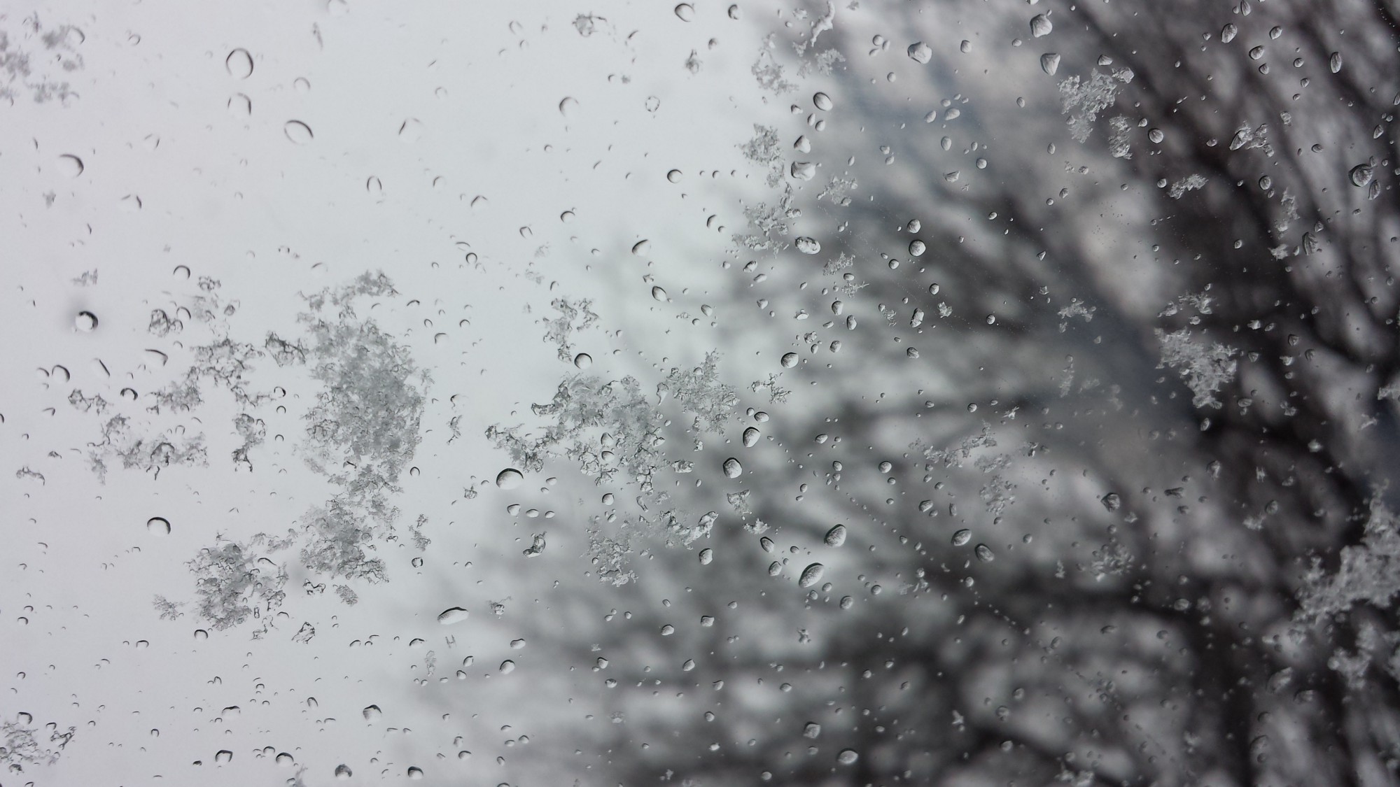 Синоптики прогнозируют мокрый снег и порывы ветра в Запорожье