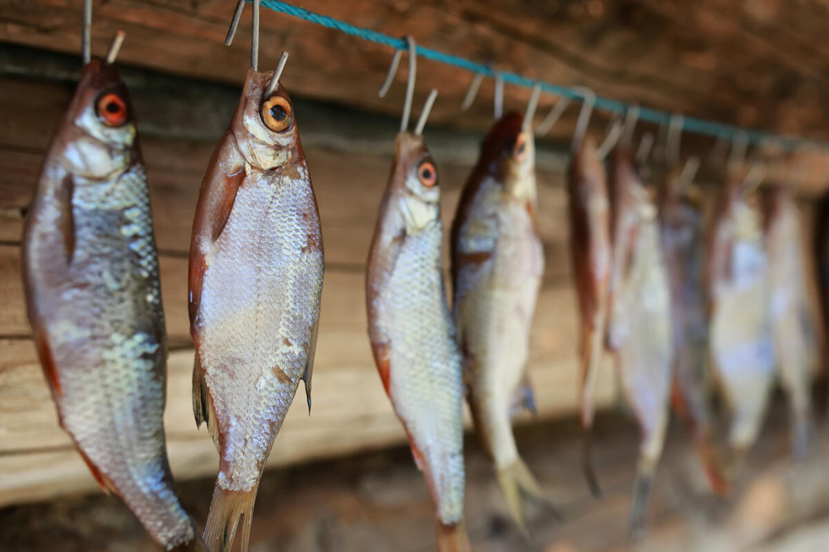 Без рыбалки: в Запорожской области запретили вылов рыбы