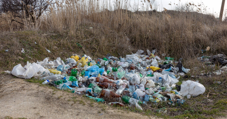 Свалка отходов в Запорожской области угрозы не несет: результаты исследований